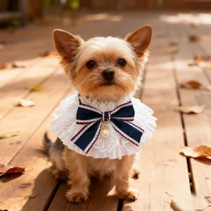 French lace pet bib with navy blue bow and pearl pendant for small dogs and cats.