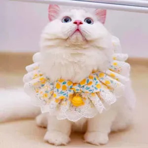 Sweet Fruit Pet Bib Lace Cat Dog Scarf Cute Bowknot Bell Puppy Collar Princess Style Pet Photography Accessories