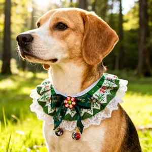 Christmas Dog Collar Bib with Lace Bow and Bells Festive Pet Scarf for Cats and Puppies