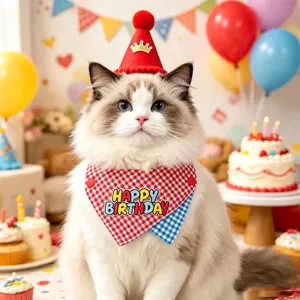Cute pet birthday set with red crown hat and plaid bib, perfect for cat and dog party decor.