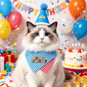 Cute pet birthday party set with crown hat and plaid cat bandana for celebration decoration