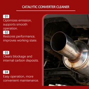 Catalytic converter cleaner detail showing exhaust pipe cleaning and carbon deposit removal.