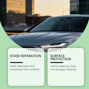 Nettoyant pour fientes d'oiseaux de voiture détail montrant la protection de surface.