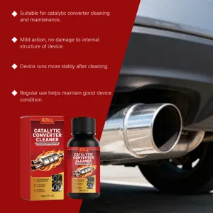 RAYHONG 30ml car catalytic converter cleaner, engine carbon deposit and exhaust cleaning.