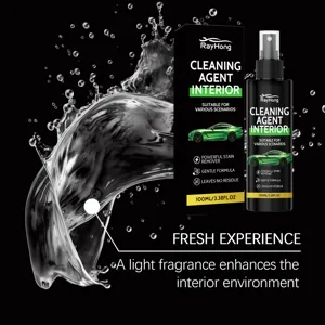 Spray nettoyant intérieur voiture RAYHONG 100ml, détachant puissant et formule douce.