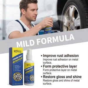 Rayhong 100ml spray antirouille voiture, nettoyant metal, protection et brillance.