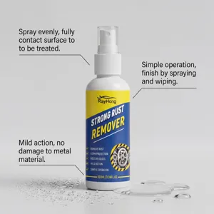 RAYHONG spray antirouille puissant 100ml pour nettoyage et entretien du métal de voiture