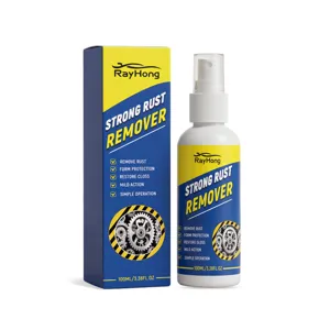 RAYHONG Spray Anti-Rouille Voiture 100ml Nettoyant Métal et Restaurateur Protecteur
