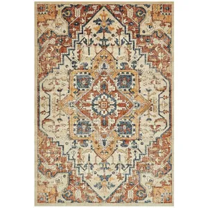 Vintage Persian style bohemian area rug with detailed retro floral and geometric patterns.