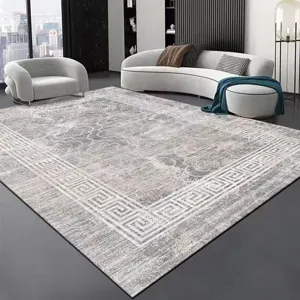 Modern minimalist grey living room carpet detail showing geometric border texture.