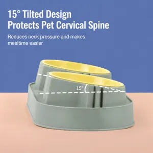 Ergonomic double pet bowl with 15-degree tilted design for cats and small dogs eating easily.