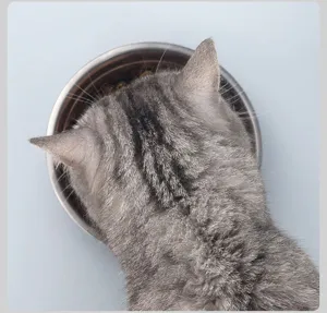 Edelstahlnapf Detailansicht, langlebiger Katzen und Hundenapf für die tägliche Fütterung.