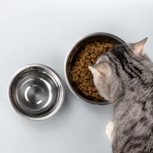 Edelstahl Haustier Hund Katze Napf Doppelset Futter Wasser Behälter rutschfestes Design