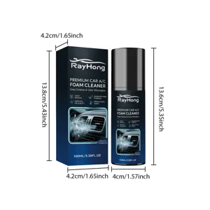 RAYHONG Car AC Foam Cleaner 100ml, deep cleaning and odor elimination spray for vehicle vents.