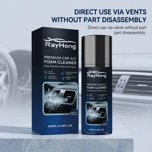 RAYHONG Car A/C Foam Cleaner 100ml, Deep Cleaning and Odor Eliminator Spray for Vehicle Vents.