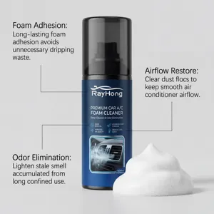 RayHong car AC foam cleaner detailed view showing odor elimination and foam adhesion.