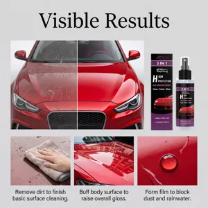 RAYHONG spray de revestimiento de coche 3 en 1 100ml cuidado de pintura protector