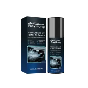 RAYHONG Car A/C Foam Cleaner 100ml Deep Cleanse Odor Elimination Fresh Scent Vehicle Care