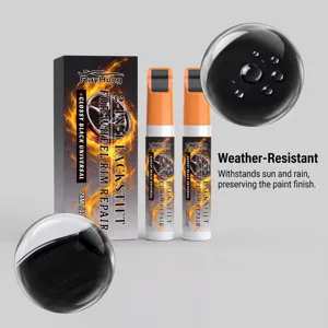 RayHong kit de stylo de retouche peinture pour jante de voiture résistant aux intempéries.