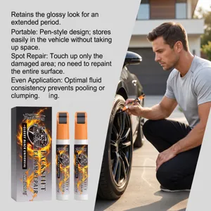 Stylo de réparation de rayures de jante de voiture noir brillant 2 en 1 entretien