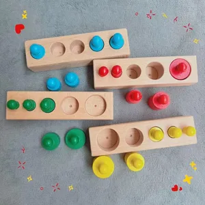 Montessori Wooden Cylinder Socket Blocks Early Educational Toy Montessori Color Sorting Sensory Learning Toy For Toddlers