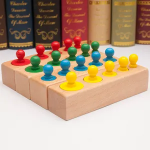 Montessori wooden socket cylinders sensory toy for early childhood color matching kids