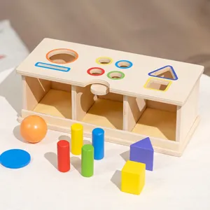Wooden shape sorter toy for toddlers, Montessori educational color matching block puzzle set.