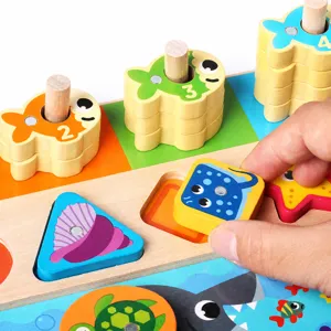 Early education wooden puzzle toy shape matching and sorting game for toddlers and kids.