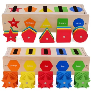 Boîte de Tri en Bois Montessori Pêche Magnétique Forme Géométrique Couleur Jouet Éducatif Cognitif pour Enfants