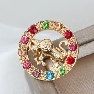 Dettaglio spilla dorata zodiaco con strass colorati, elegante fermaglio di cristallo.