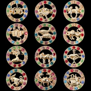 Spilla Dodici Segni Zodiacali in Lega di Lusso con Strass Placcata Oro Spilla a Costellazione Rotonda Gioielli di Moda Donna