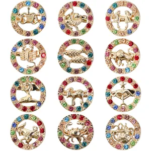 Set di 12 spille con cristalli zodiacali, eleganti spille rotonde in lega dorata con strass.
