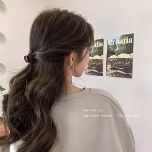 Kleine Acetat Haarklammer für Damen, stilvolles Haaraccessoire für schicke Frisuren.