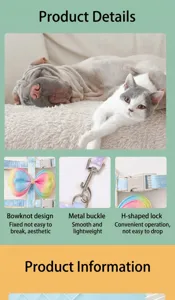 Detail view of gradient pet harness set with bow tie, metal hook and H-shaped buckle.