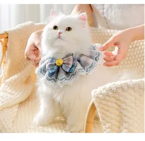 Detailed view of a white cat wearing a plaid bow-tie collar with elegant lace trim.