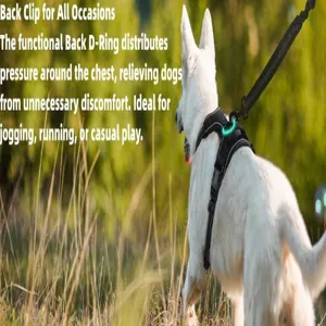 Detail showing the functional back D-ring on a black nylon harness for large dogs.