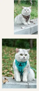 Breathable mesh cat harness detail, comfortable vest design for outdoor walking safely.