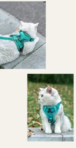 Teal mesh cat harness detail, breathable vest style anti-escape pet walking leash.