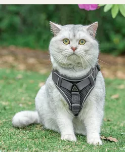 Comfortable breathable mesh cat harness vest with leash, escape proof design for outdoor walking.