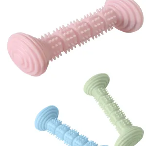 Jouet à mâcher pour chien TPR nettoyage dents résistant morsure interactif rose vert bleu