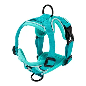 Breathable Mesh Cat Leash Harness Vest Reflective Escape Proof Adjustable Pet Walking Chest Strap For Kitty Small Dogs