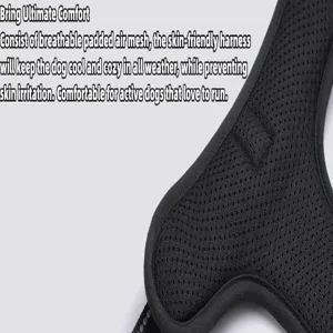 Detailed macro view of the breathable padded air mesh material on a black dog harness