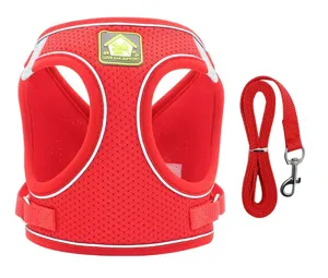 Close-up of red reflective breathable mesh dog harness and matching leash set