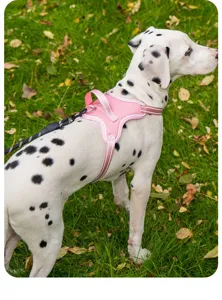 Detailansicht eines rosa Sattel-Hundegeschirrs an einem Dalmatiner