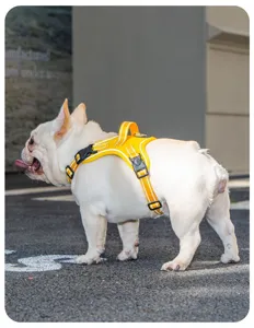 Detailansicht eines gelben Sattel-Hundegeschirrs an einer weißen Bulldogge