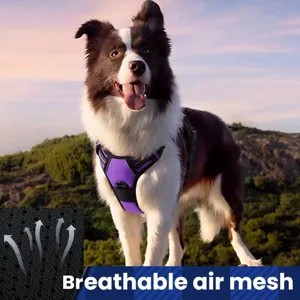 Large Dog Harness and Leash Set Reflective Nylon Breathable Mesh Pet Vest Harness Adjustable Anti Pull Pet Walking Supplies