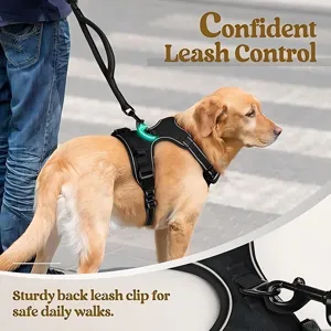 Durable nylon dog harness and leash set for safe daily walking with large dogs outdoors