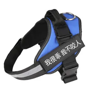 Reflective blue nylon pet dog harness with adjustable straps and secure metal D-ring