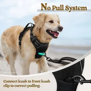 No pull dog harness for large dogs with front clip attachment in outdoor beach setting