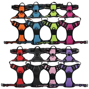 Durable reflective nylon dog harness set available in eight vibrant colors for large pets
